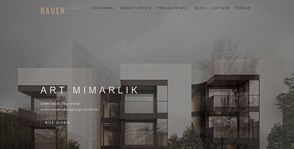 İnşaat ve Mimarlık Web Sitesi (Açık Mod Tema) IM01