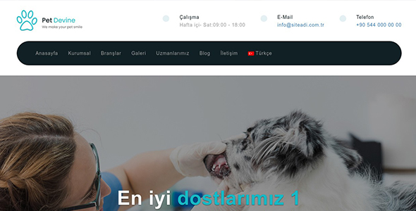 Veteriner Web Sitesi V02