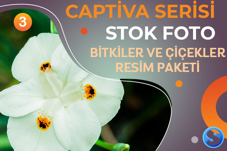 Captiva Serisi - Bitkiler ve Çiçekler Resim Paketi 3